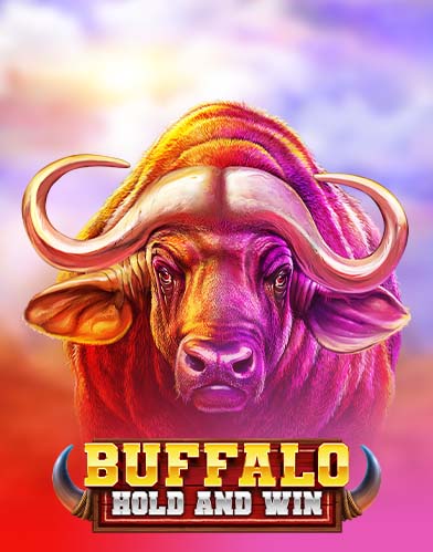 Buffalo Hold and Win