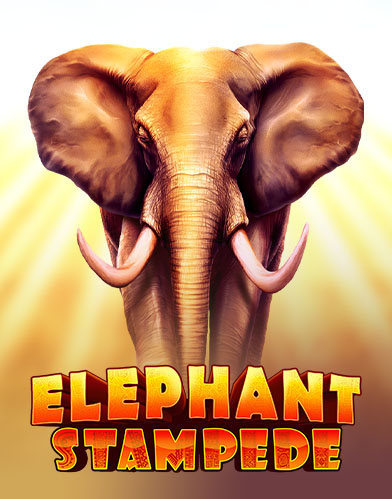 Elephant Stampede