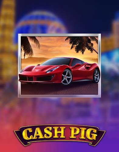Cash Pig