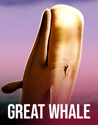  Great Whale