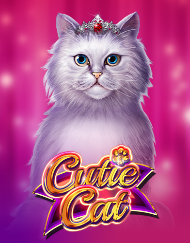 Cutie Cat